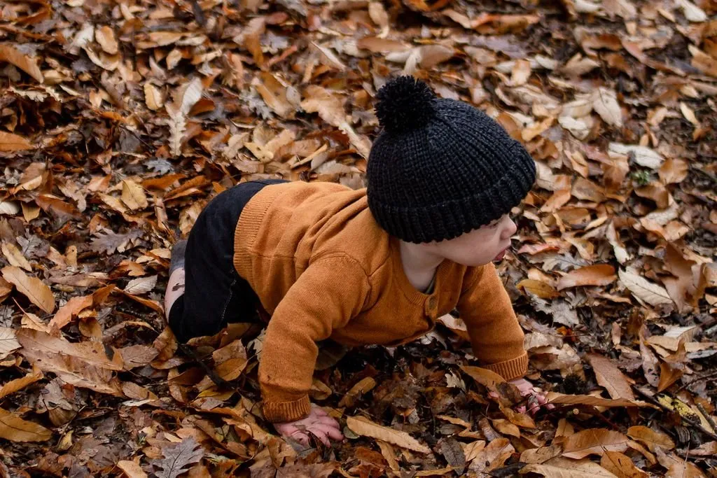 Campside Merino Beanie Charcoal