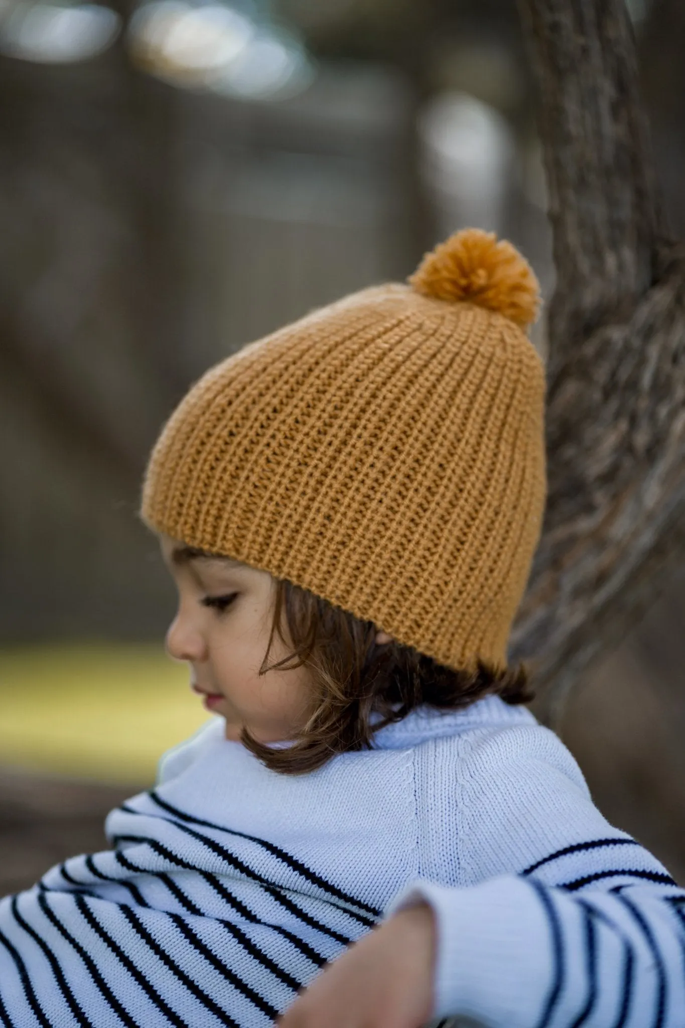 Campside Merino Beanie Mustard