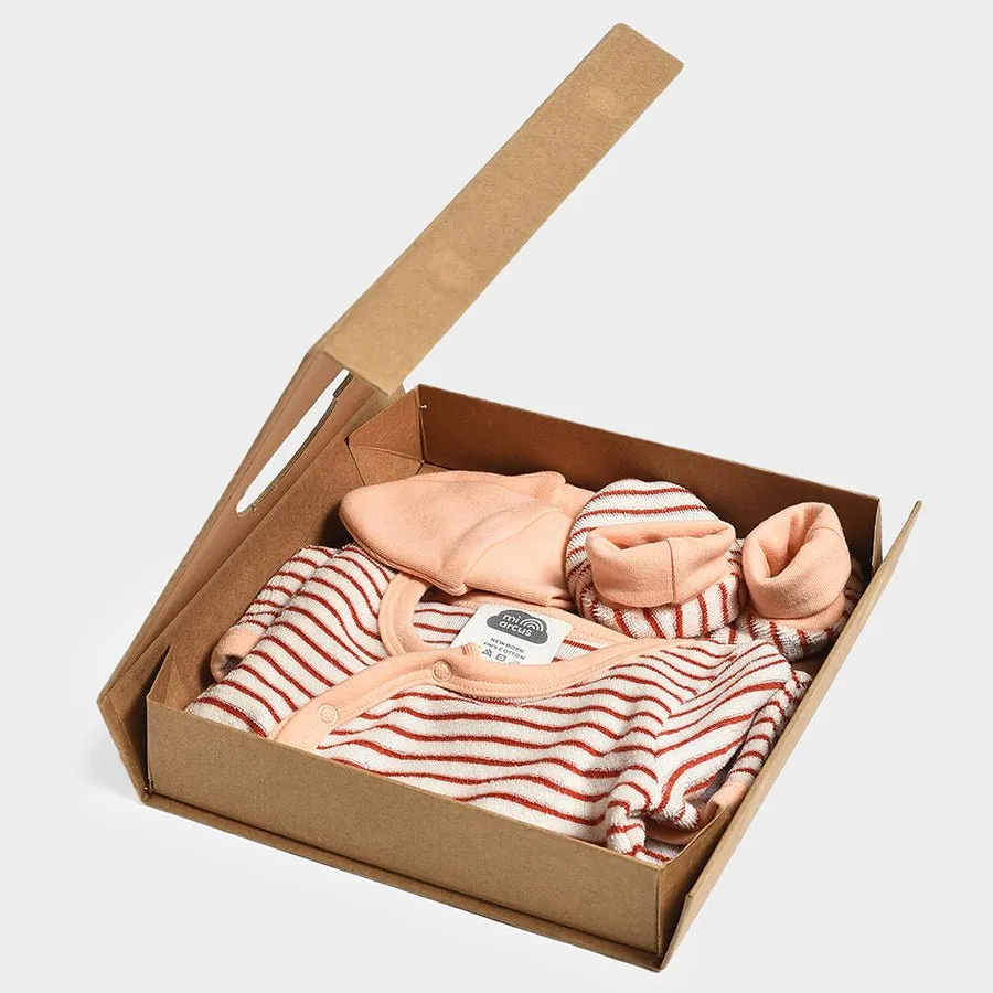 Dinomite Apparel Gift Set for Newborn Pack of 3